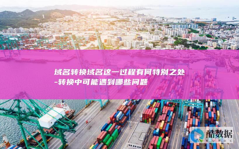 域名转换域名这一过程有何特别之处