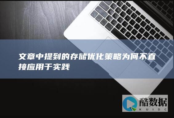 文章中提到的存储优化策略为何不直接应用于实践