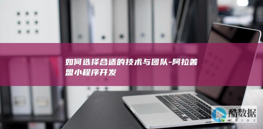 如何选择合适的技术与团队-阿拉善盟小程序开发