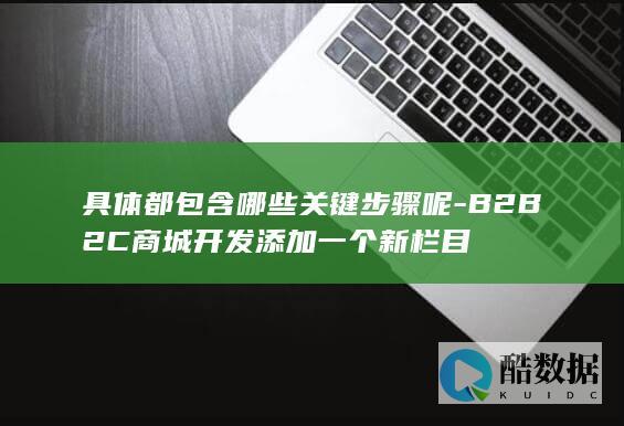 B2B2C商城开发新增功能步骤