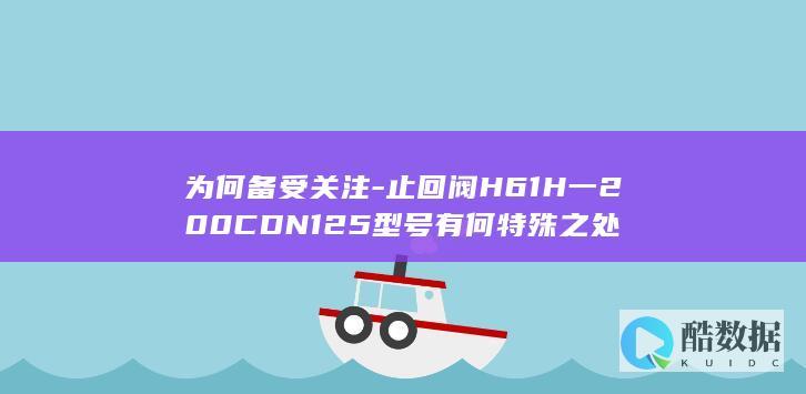 H61H一200CDN125止回阀优势分析