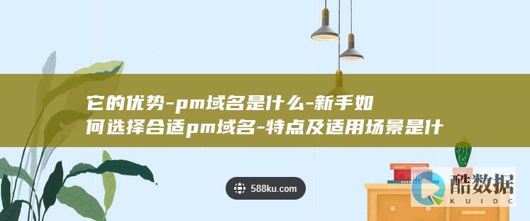 新手如何选择pm域名