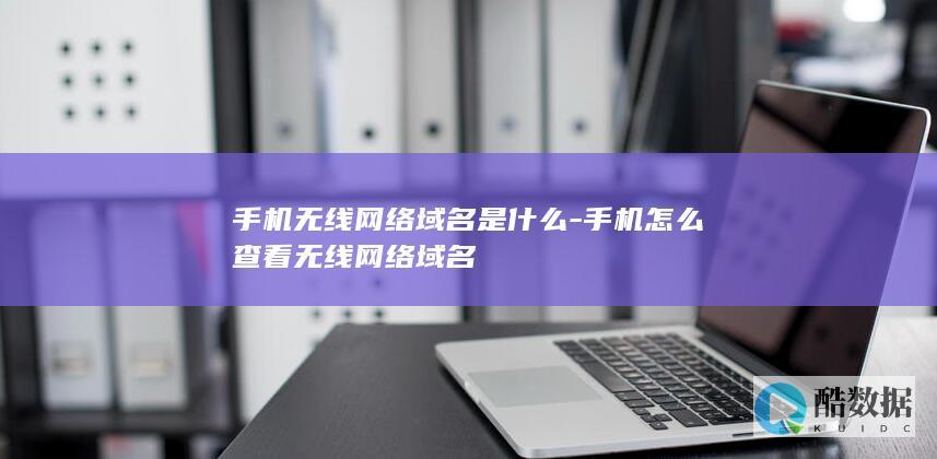 手机连接WiFi域名设置