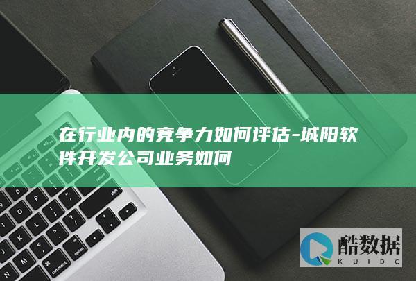 在行业内的竞争力如何评估-城阳软件开发公司业务如何