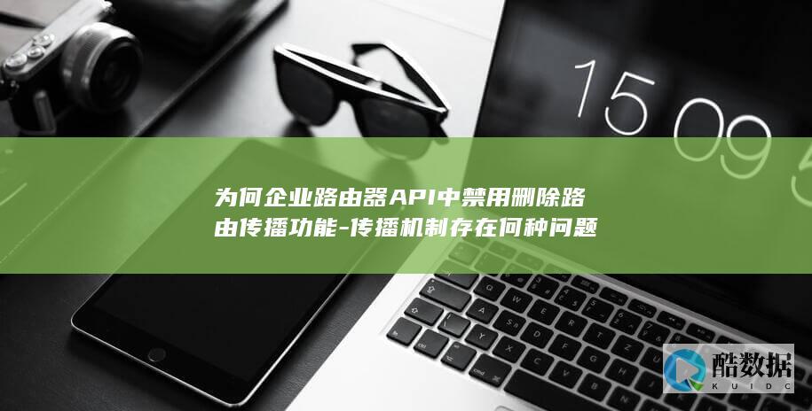 为何企业路由器API中禁用删除路由传播功能-传播机制存在何种问题