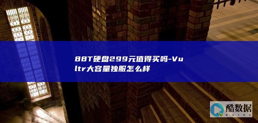 88T硬盘299元值得买吗-Vultr大容量独服怎么样