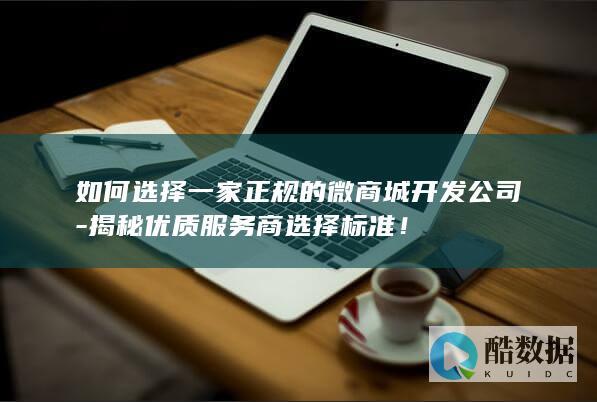 微开发公司选择技巧