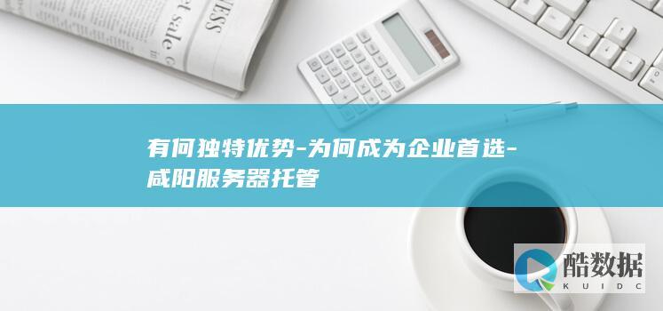企业选择咸阳服务器托管理由