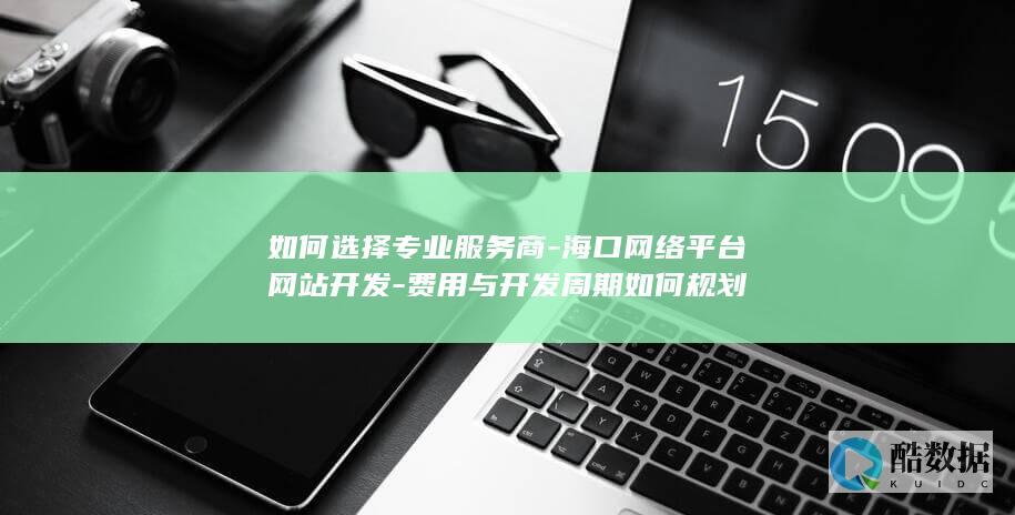 如何选择专业服务商-海口网络平台网站开发-费用与开发周期如何规划