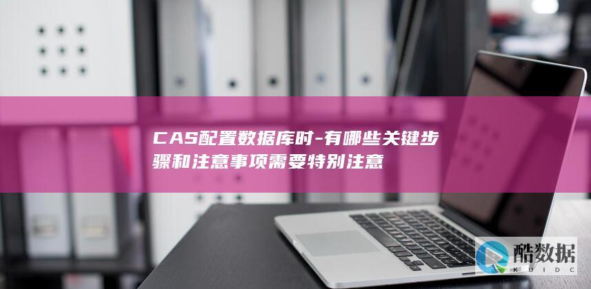 CAS配置数据库时
