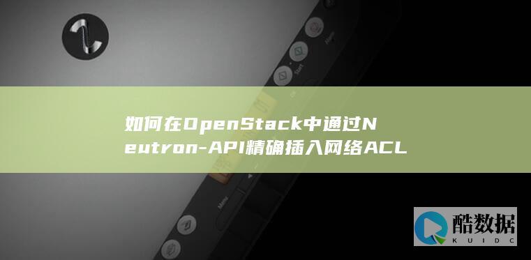 API精确插入网络规则