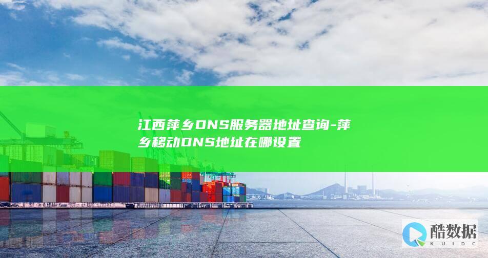 江西萍乡DNS服务器地址查询