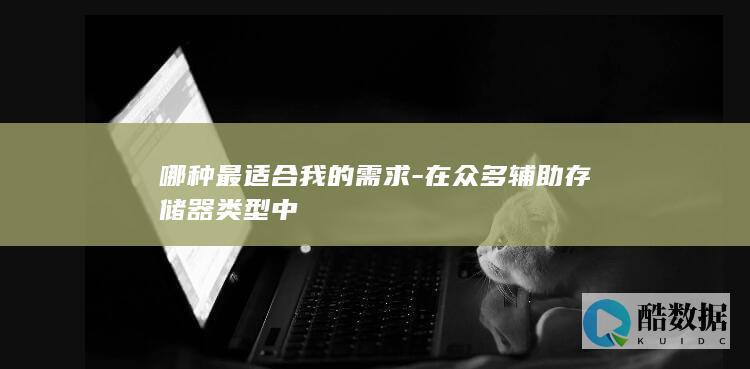 哪种最适合我的需求-在众多辅助存储器类型中