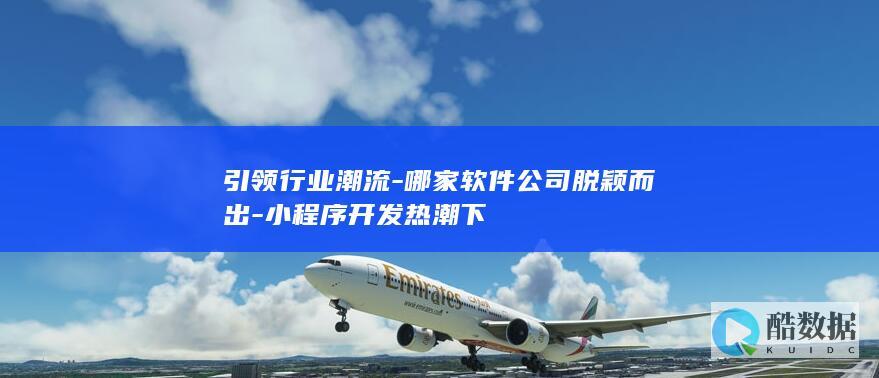 小程序开发领军企业