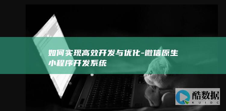 如何实现高效开发与优化-微信原生小程序开发系统