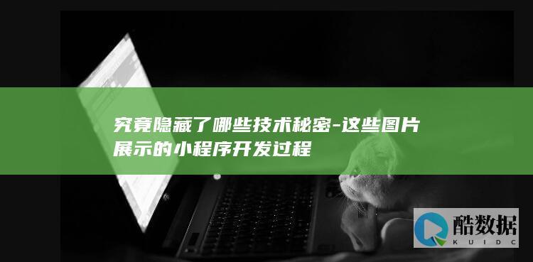 究竟隐藏了哪些技术秘密-这些图片展示的小程序开发过程