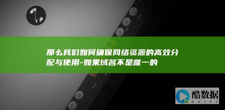 那么我们如何确保网络资源的高效分配与使用-如果域名不是唯一的