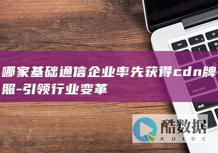 引领行业CDN牌照企业案例