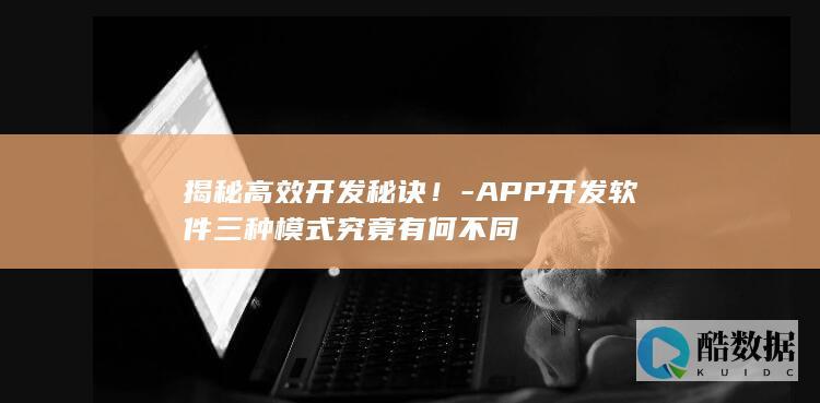 揭秘高效开发秘诀！-APP开发软件三种模式究竟有何不同