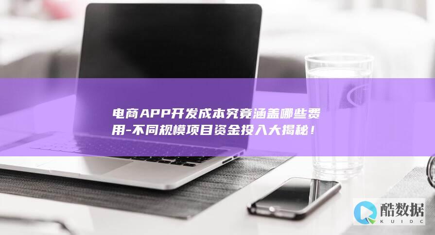 电商APP成本分析