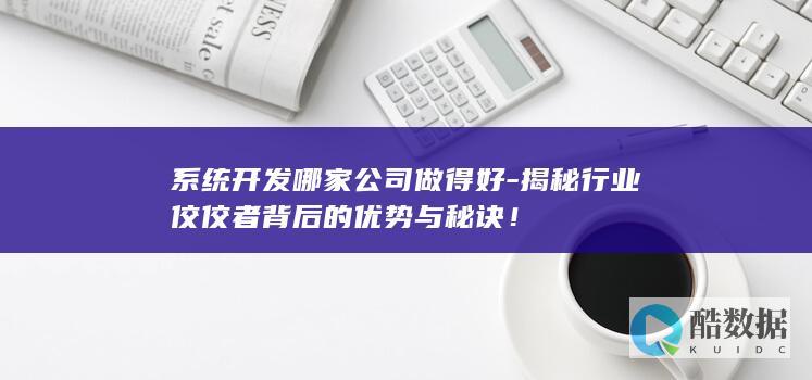 系统开发哪家公司做得好-揭秘行业佼佼者背后的优势与秘诀！