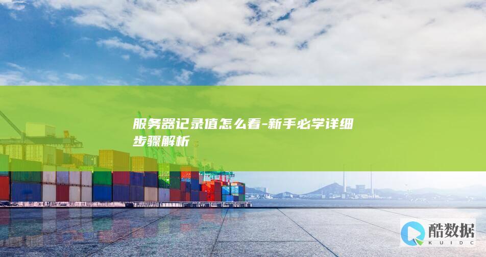 服务器记录值怎么看-新手必学详细步骤解析