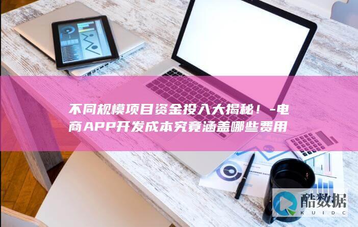 不同规模项目资金投入大揭秘！-电商APP开发成本究竟涵盖哪些费用