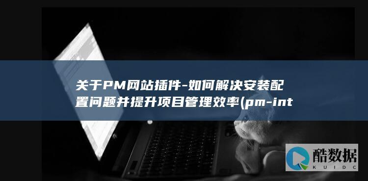 关于PM网站插件