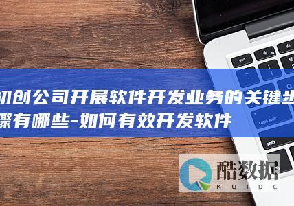 初创公司开展软件开发业务的关键步骤有哪些-如何有效开发软件
