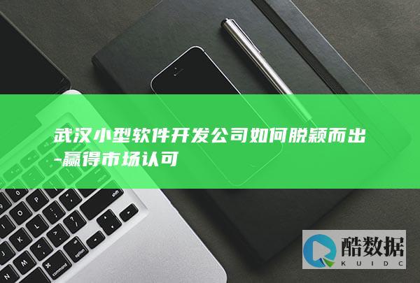 武汉小型软件开发公司如何脱颖而出-赢得市场认可