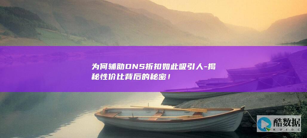 辅助DNS折扣性价比解析