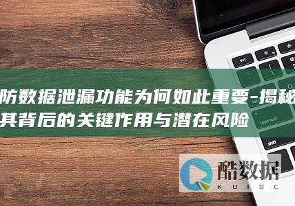 防数据泄漏功能为何如此重要-揭秘其背后的关键作用与潜在风险