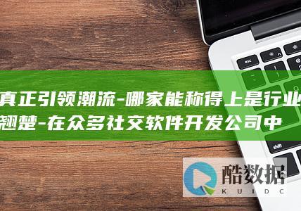 真正引领潮流-哪家能称得上是行业翘楚-在众多社交软件开发公司中