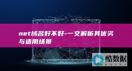 net域名好不好-一文解析其优劣与适用场景