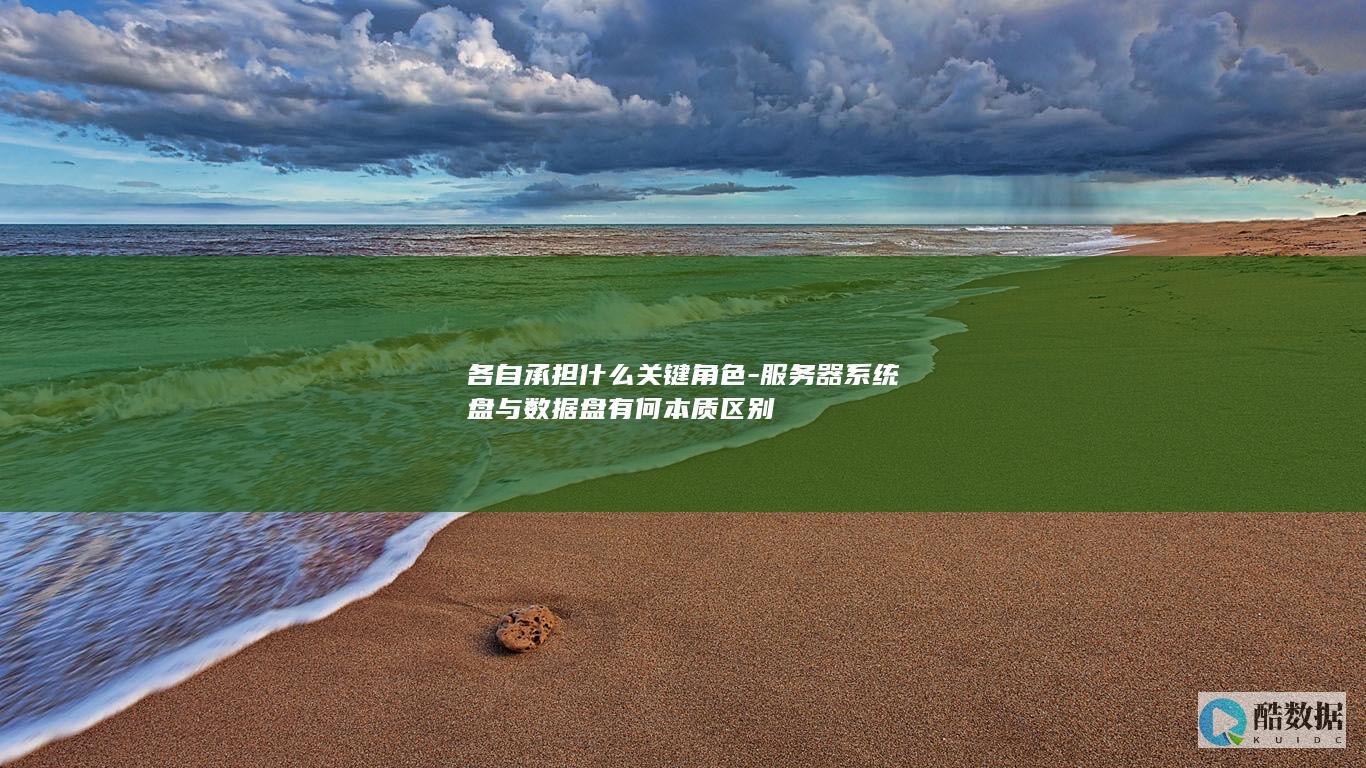 各自承担什么关键角色-服务器系统盘与数据盘有何本质区别