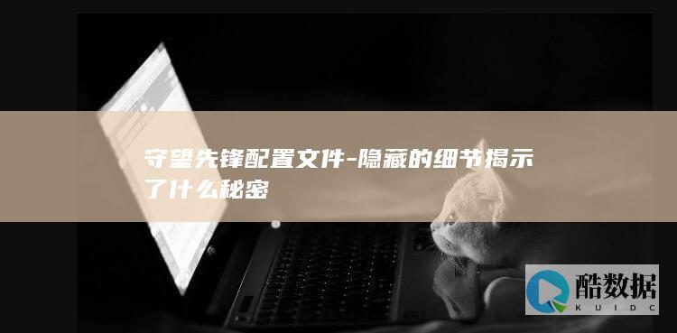 守望先锋配置文件秘密解读