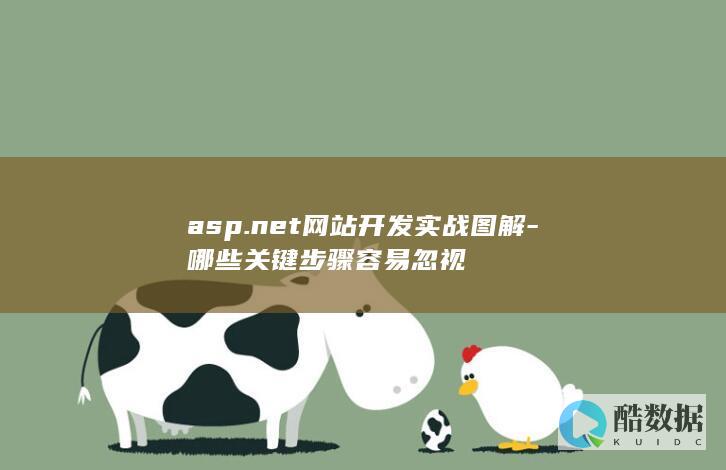 asp.net网站开发实战图解-哪些关键步骤容易忽视