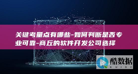 关键考量点有哪些-如何判断是否专业可靠-商丘的软件开发公司选择
