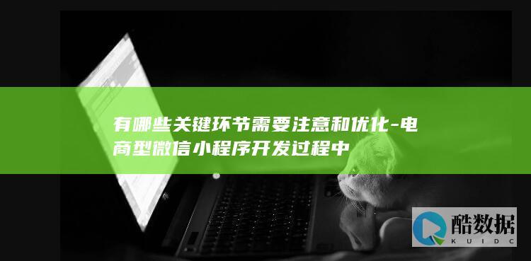 有哪些关键环节需要注意和优化-电商型微信小程序开发过程中