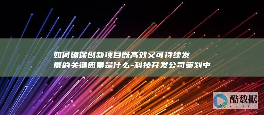 创新项目实施高效可持续性保障措施