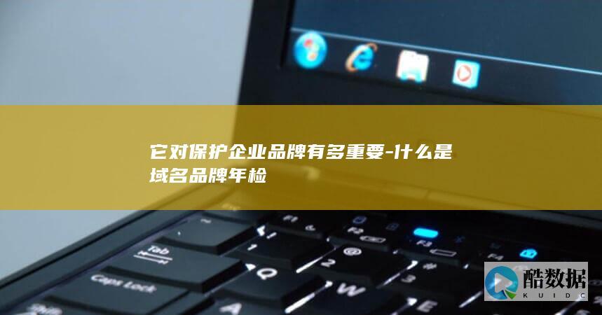 它对保护企业品牌有多重要-什么是域名品牌年检