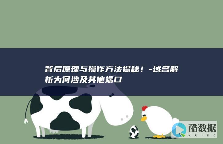 背后原理与操作方法揭秘！-域名解析为何涉及其他端口