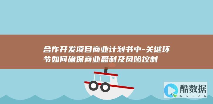 合作开发项目商业计划书中-关键环节如何确保商业盈利及风险控制