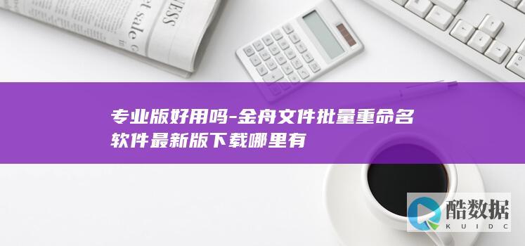 金舟重命名软件专业版评测