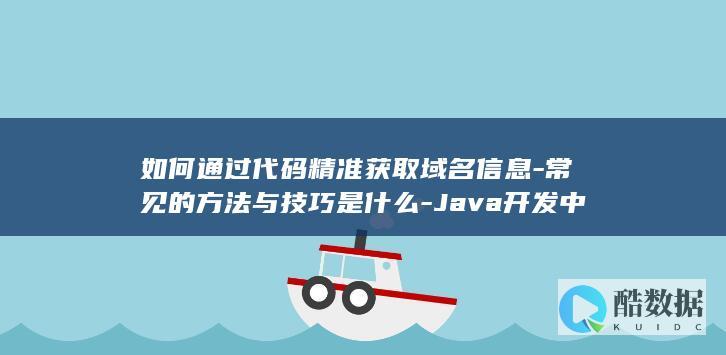 如何通过代码精准获取域名信息-常见的方法与技巧是什么-Java开发中