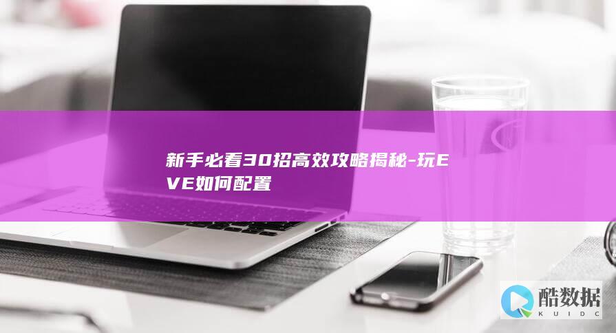 新手必看30招高效攻略揭秘-玩EVE如何配置