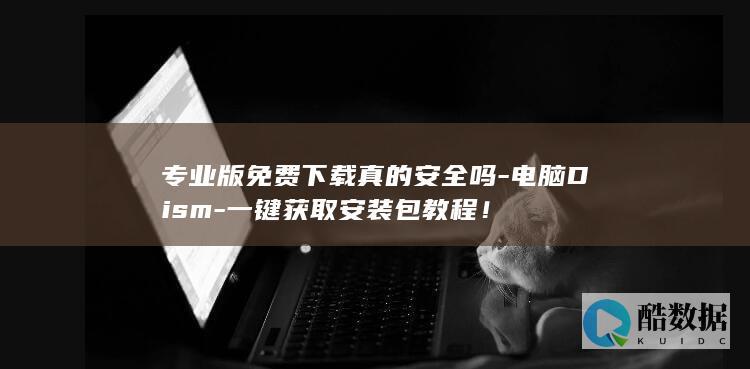 专业版免费下载真的安全吗-电脑Dism-一键获取安装包教程！