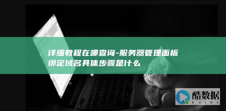 详细教程在哪查询-服务器管理面板绑定域名具体步骤是什么