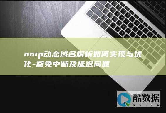 NoIP解析稳定性提升策略