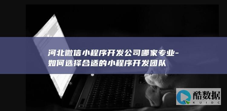 河北微信小程序开发公司哪家专业-如何选择合适的小程序开发团队